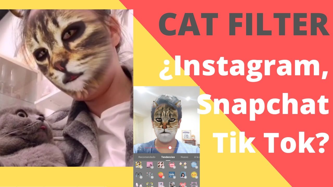 el gato plantilla tutorial como armar｜Búsqueda de TikTok