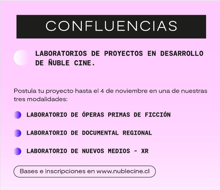 confluencias nuble cine 22