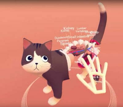 Examinando a un gato con Realidad Virtual