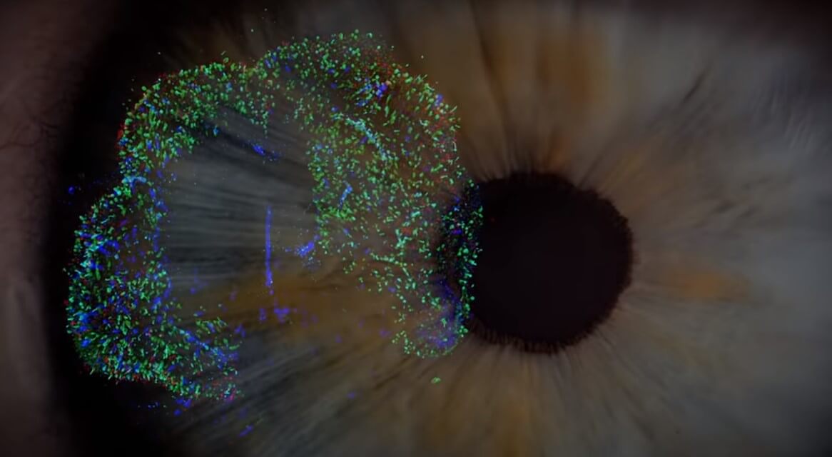 Se crea retina humana en el laboratorio de Johns Hopkins