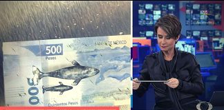 billetes mx realidad aumentada app