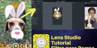 lens studio perro filtro snapchat