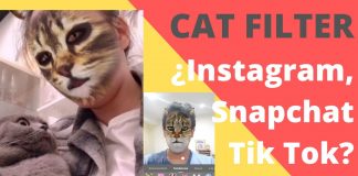 Cat filter instagram