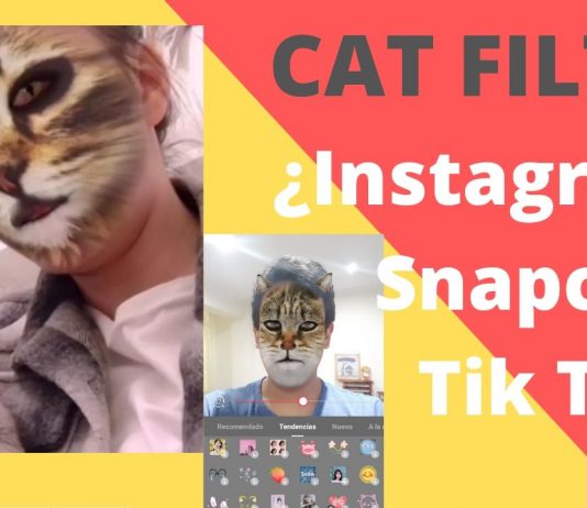 Cat filter instagram