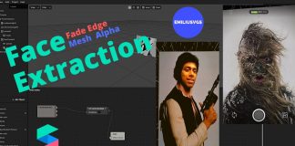 Face mesh spark AR augmented reality