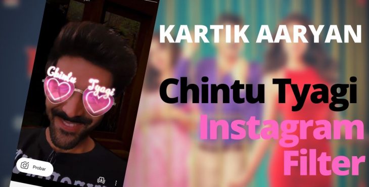 Kartik Aaryan instagram filter