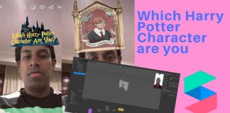 Which Harry Potter Character are you