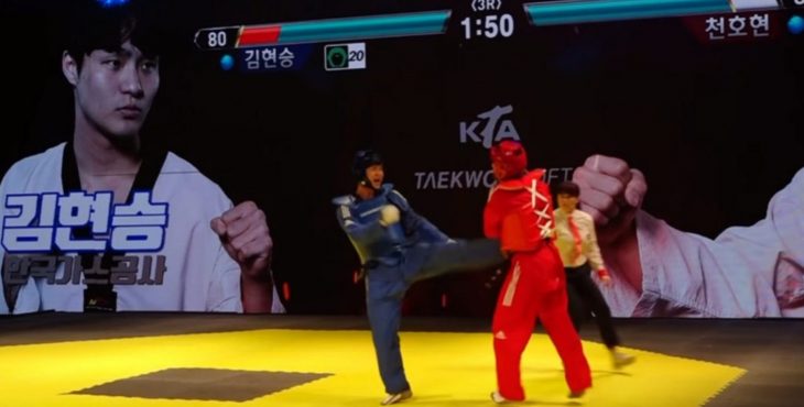 taekwondo tekken