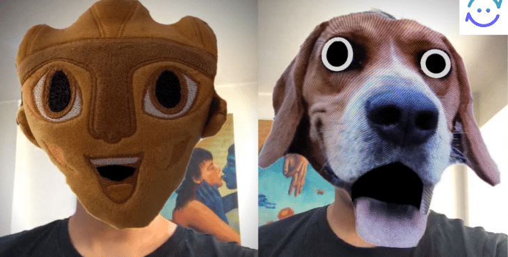facereplaced app