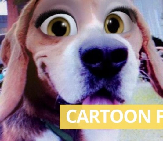 snapchat cartoon face