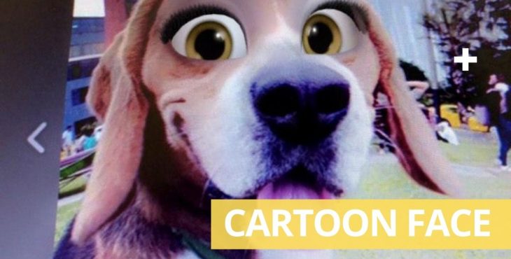 snapchat cartoon face