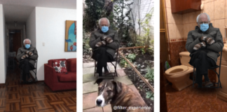 Sitting Bernie Filtros Instagram