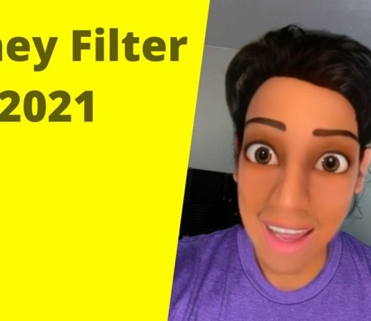 disney filter snapchat 2021