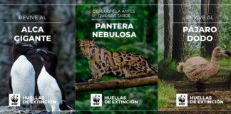 Huellas de extinción AR