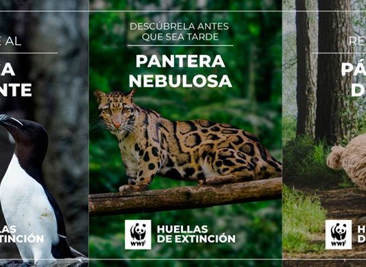 Huellas de extinción AR