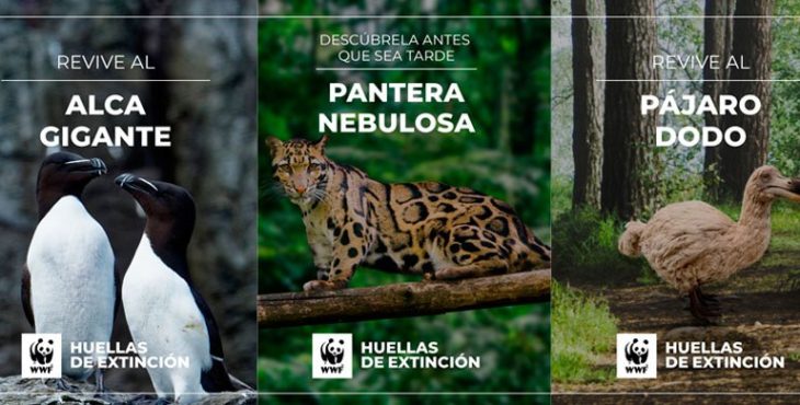 Huellas de extinción AR