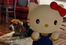 Hello Kitty búsquedas AR
