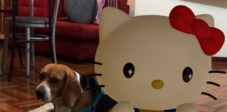 Hello Kitty búsquedas AR