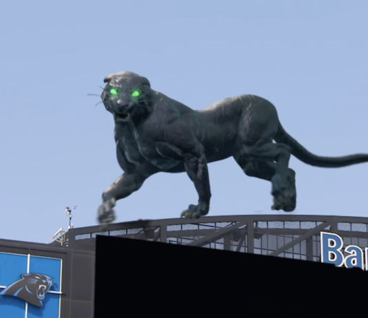 Carolina Panthers Pantera Virtual