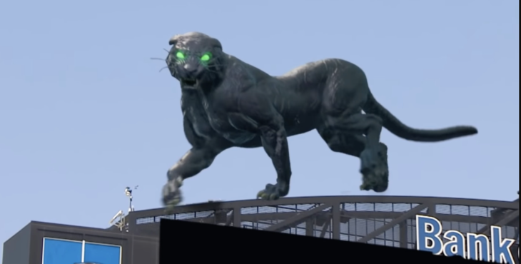 Carolina Panthers Pantera Virtual