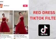 red dress tiktok effect
