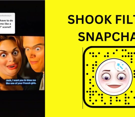 shook filter snapchat instagram tiktok